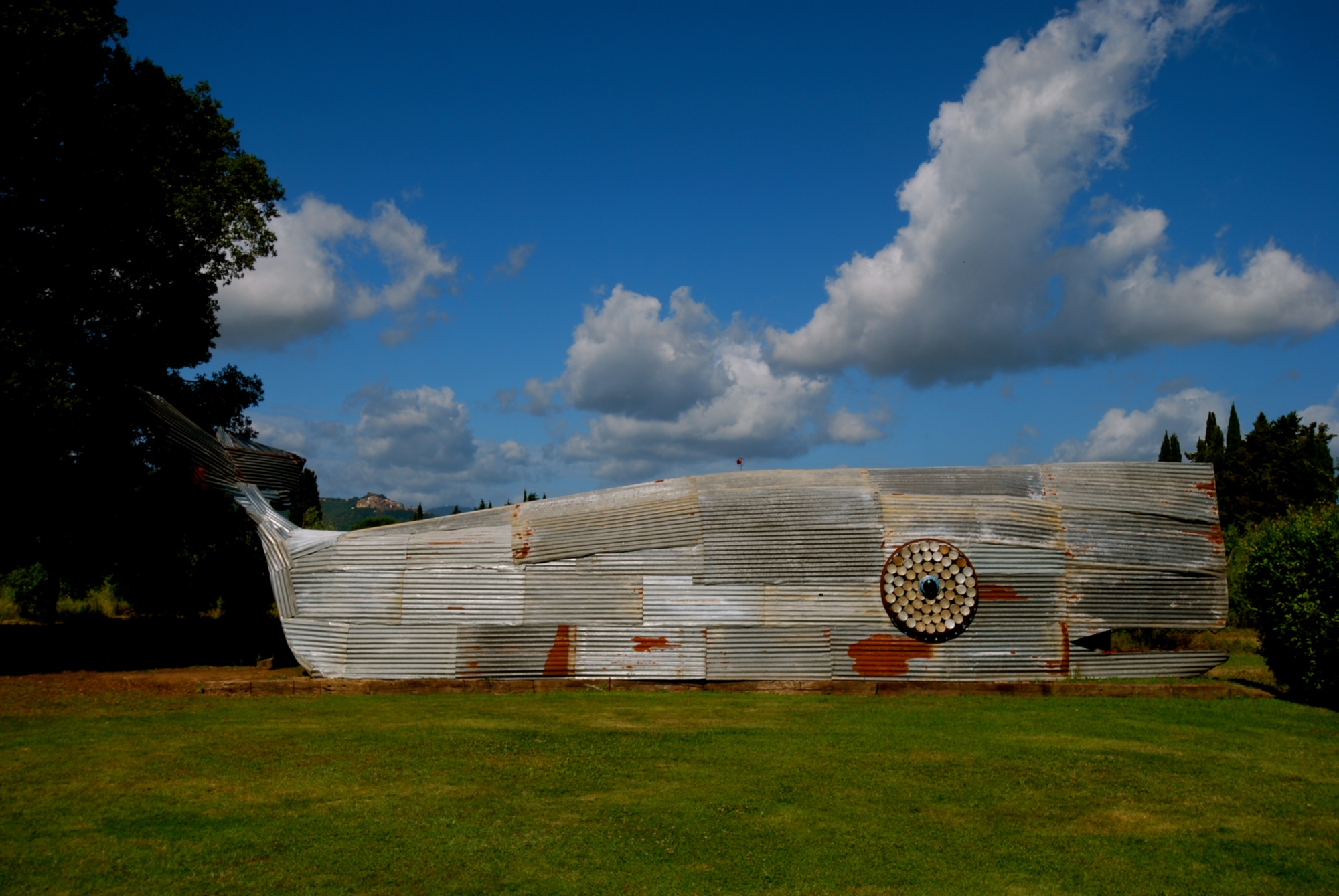 Rodolfo Lacquaniti's whale