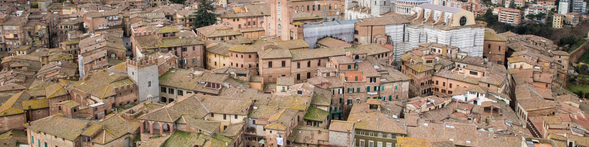 Siena e il suo Duomo dalla Torre del Mangia