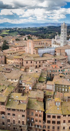 Vista de Siena y su Catedral desde la Torre del Mangia