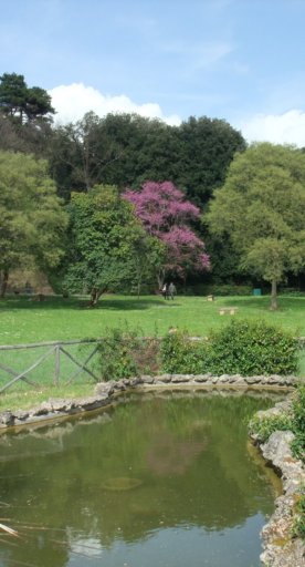 Der romantische Park der Villa Il Ventaglio in Florenz