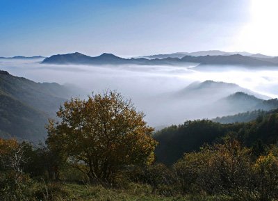 Casentinesi Forests National Park