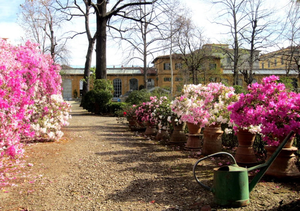 Botanischer Garten - Giardino dei Semplici