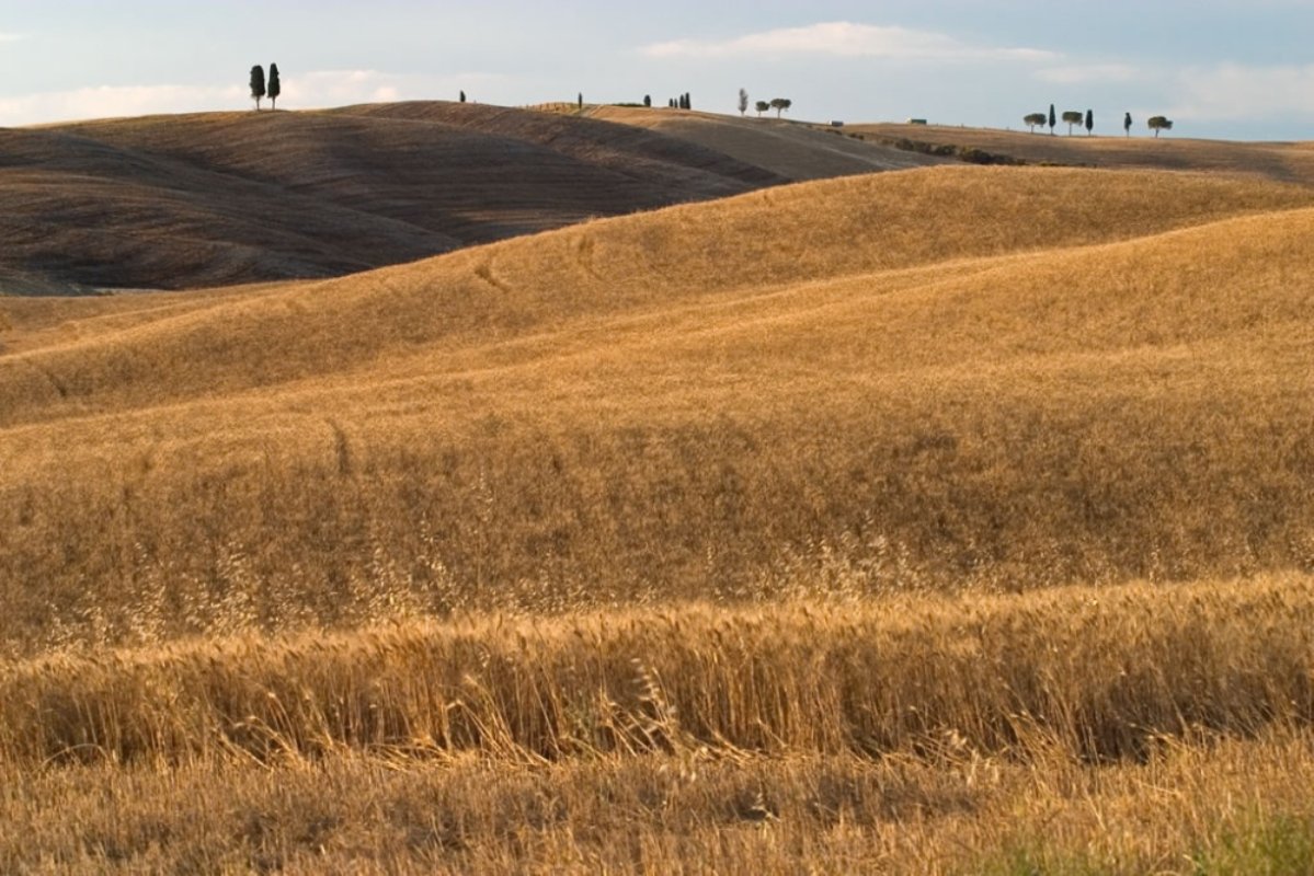 La campagna a sud di Siena