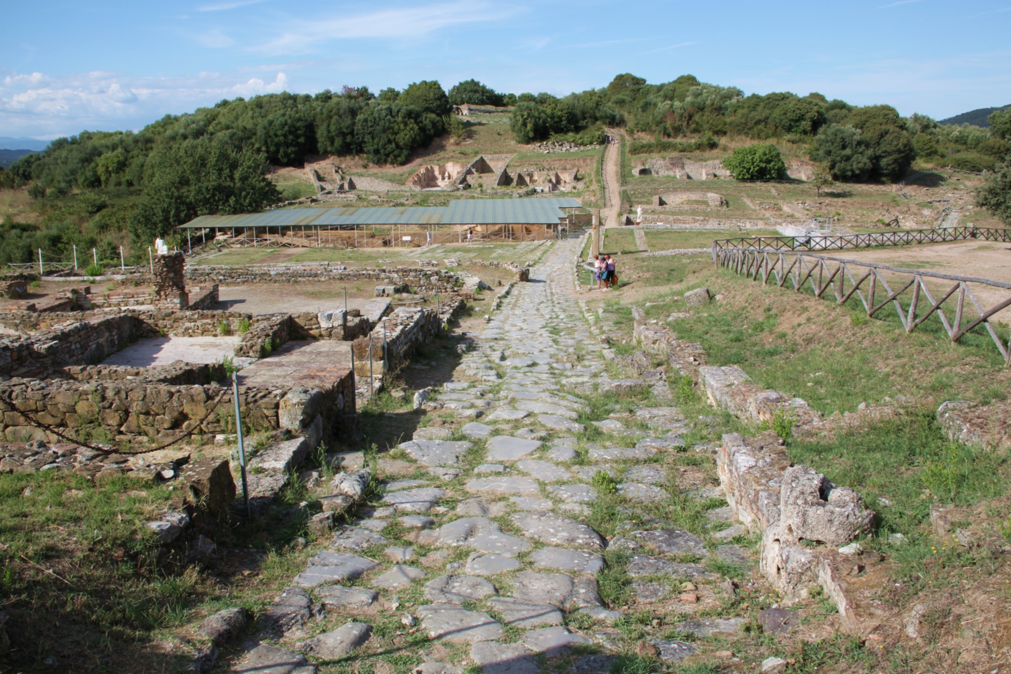 Roselle archaeological area