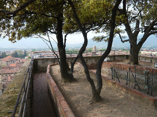 En la cima de la Torre Guinigi