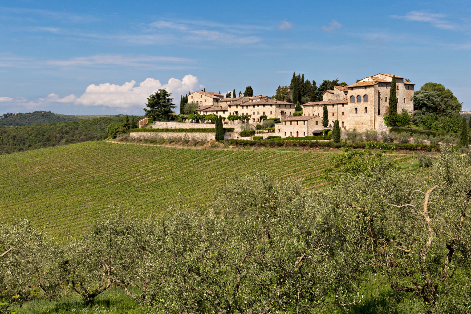 Castello di Lucignano, Chianti