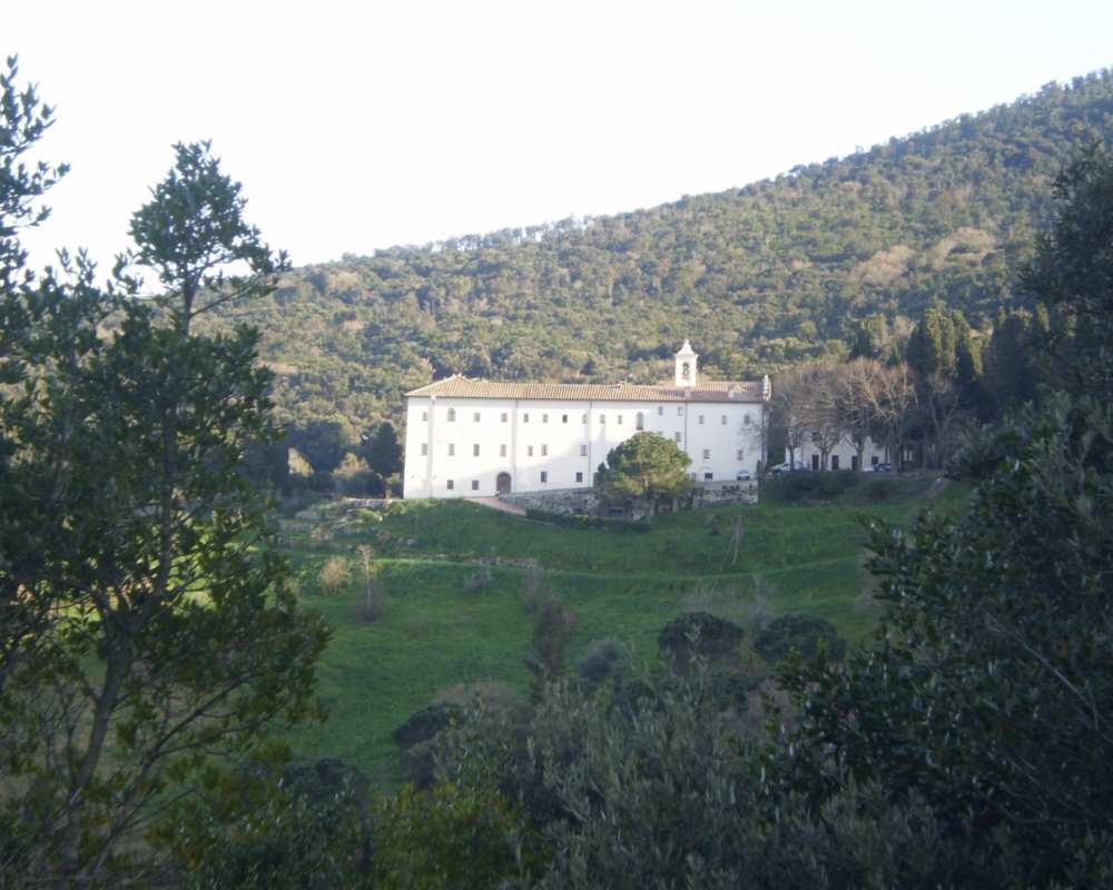Das mitten im Grünen gelegene Kloster