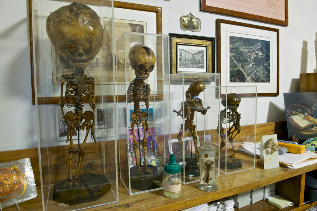 Museo Anatomia Patologica Pisa