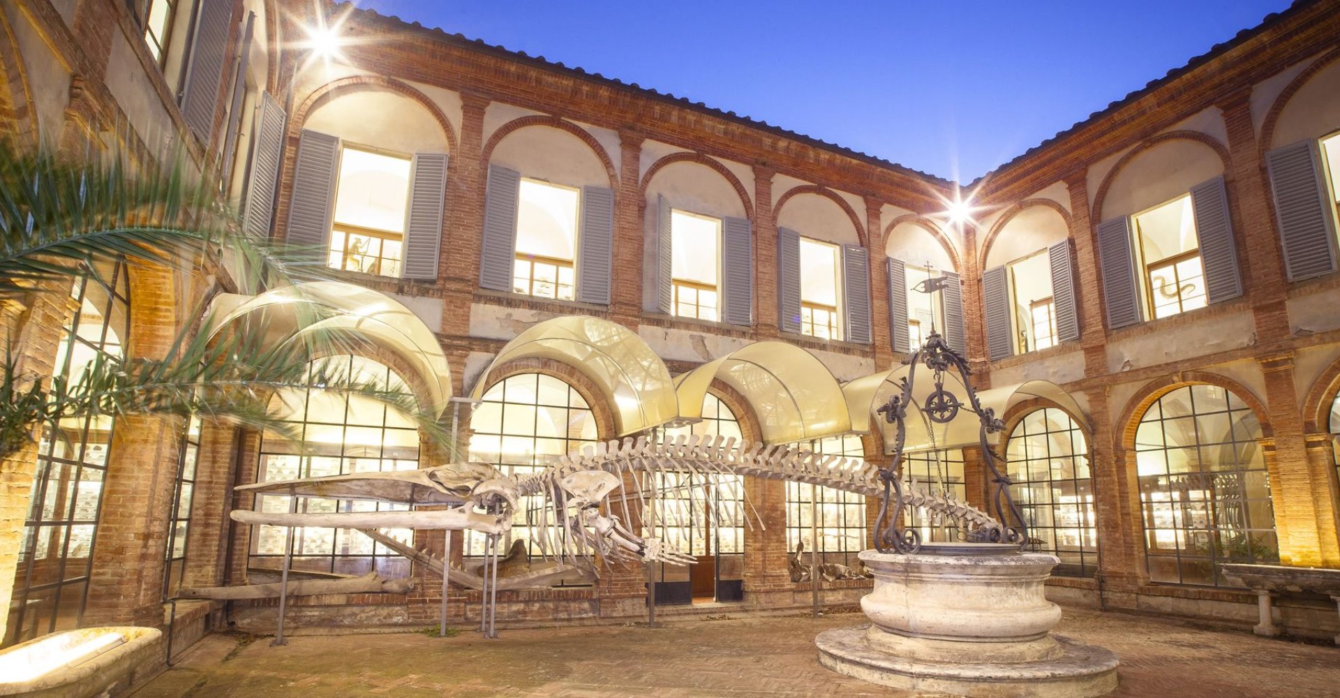 Museo de Historia Natural de la Academia de los Fisiocríticos de Siena