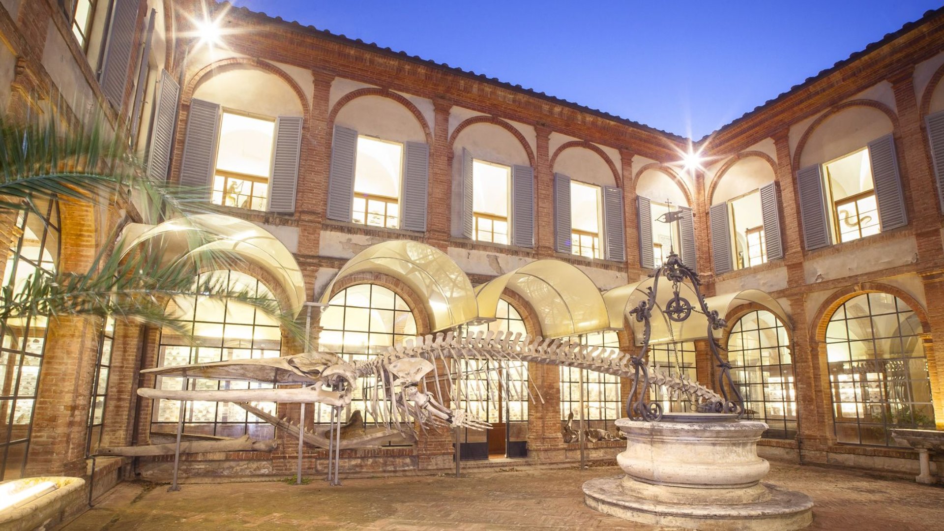 Das Naturhistorische Museum der Accademia dei Fisiocritici in Siena