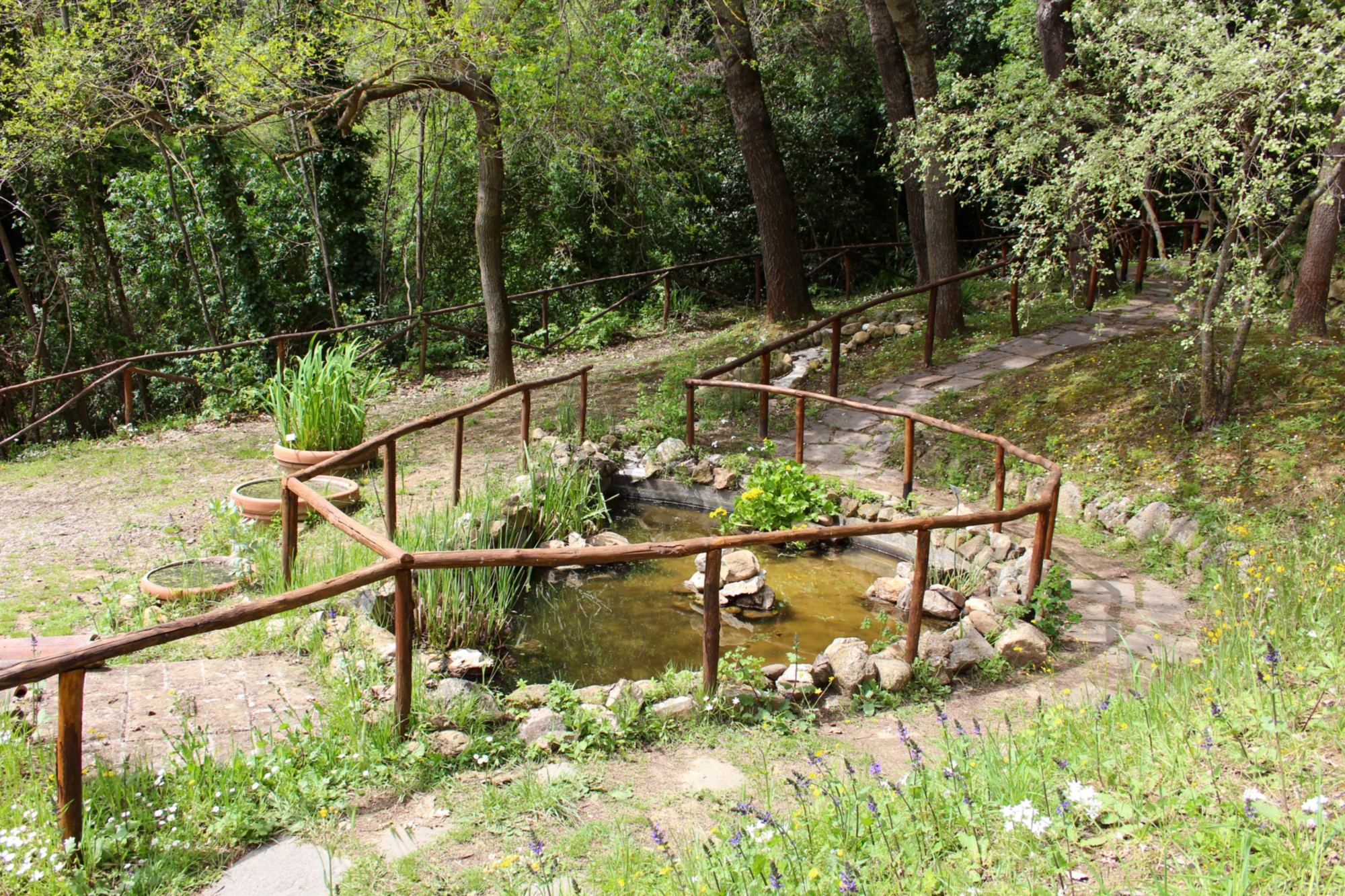 Jardín Botánico de Siena