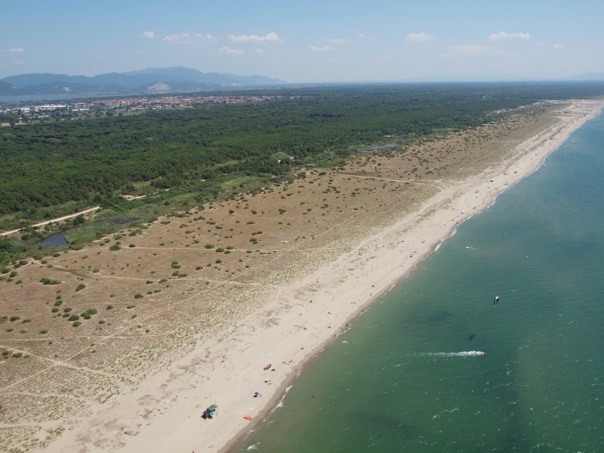 Der Pinienwald von Viareggio