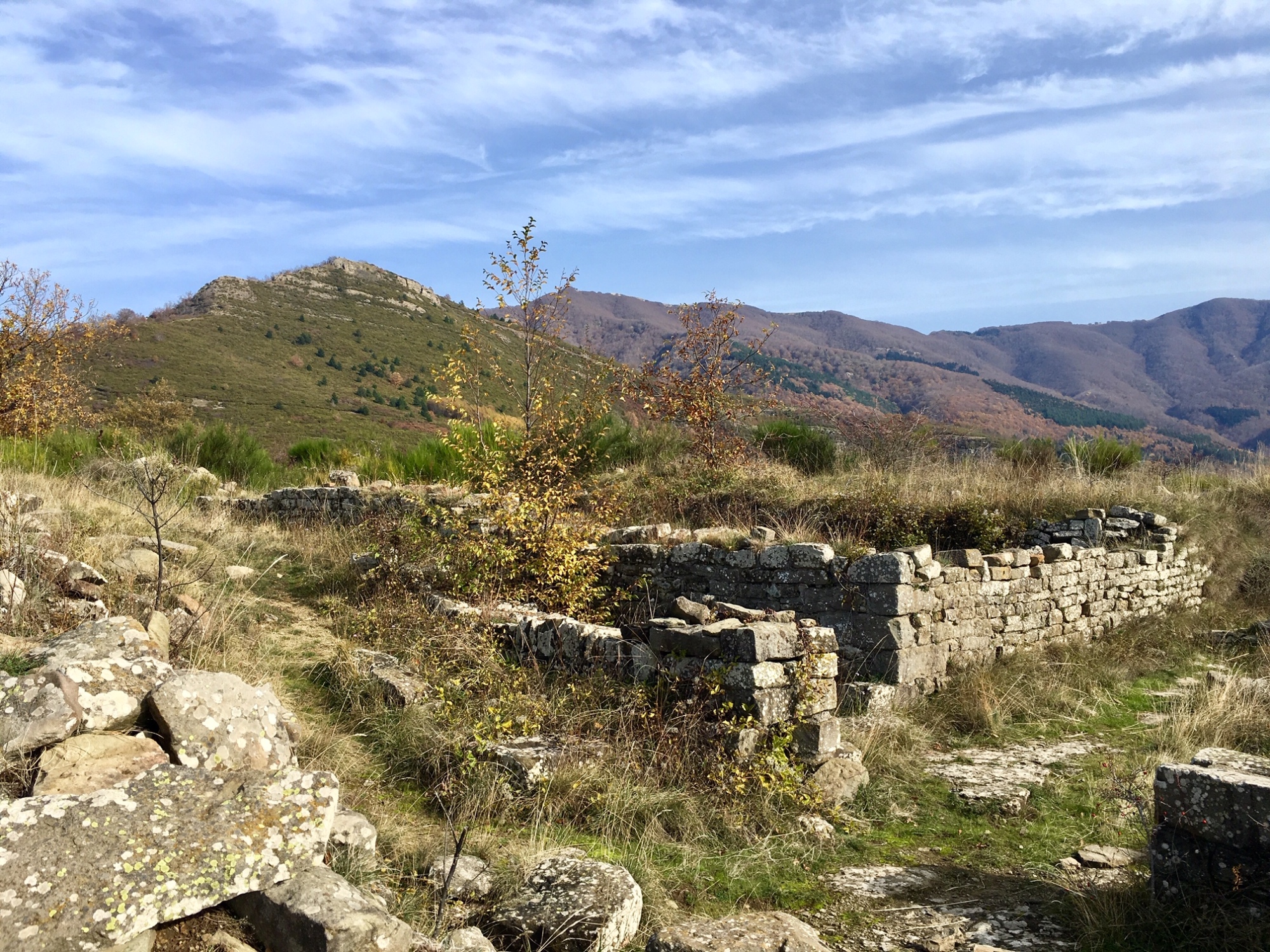 Poggio alla Regina with view of Mount Acuto - Reggello