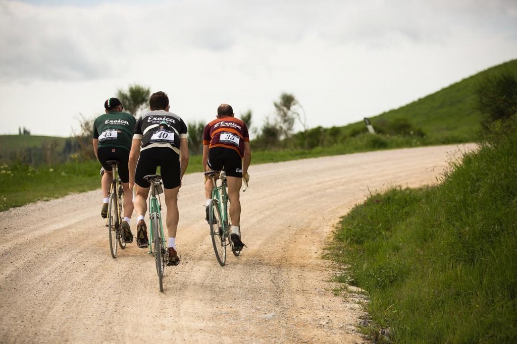 Fila de cipreses y ciclista - Eroica