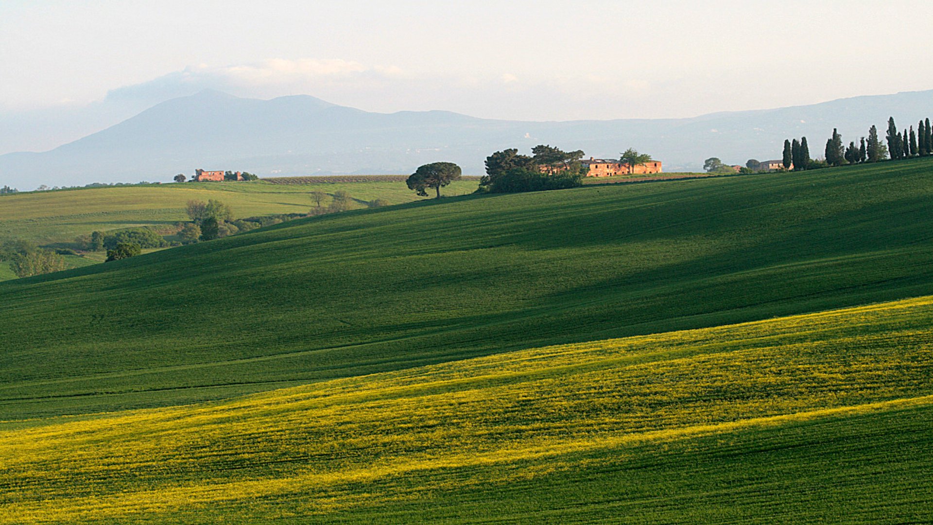 Valiano in Montepulciano, Valdichiana countryside