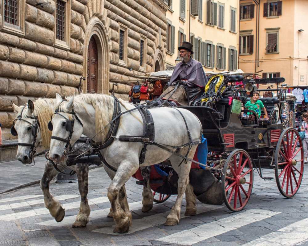 Horse-drawn carriage ride in Florence