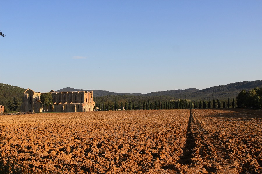 Fields in San Galgano