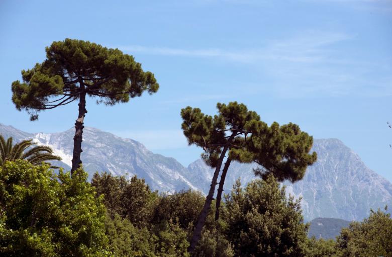 Forte dei Marmi