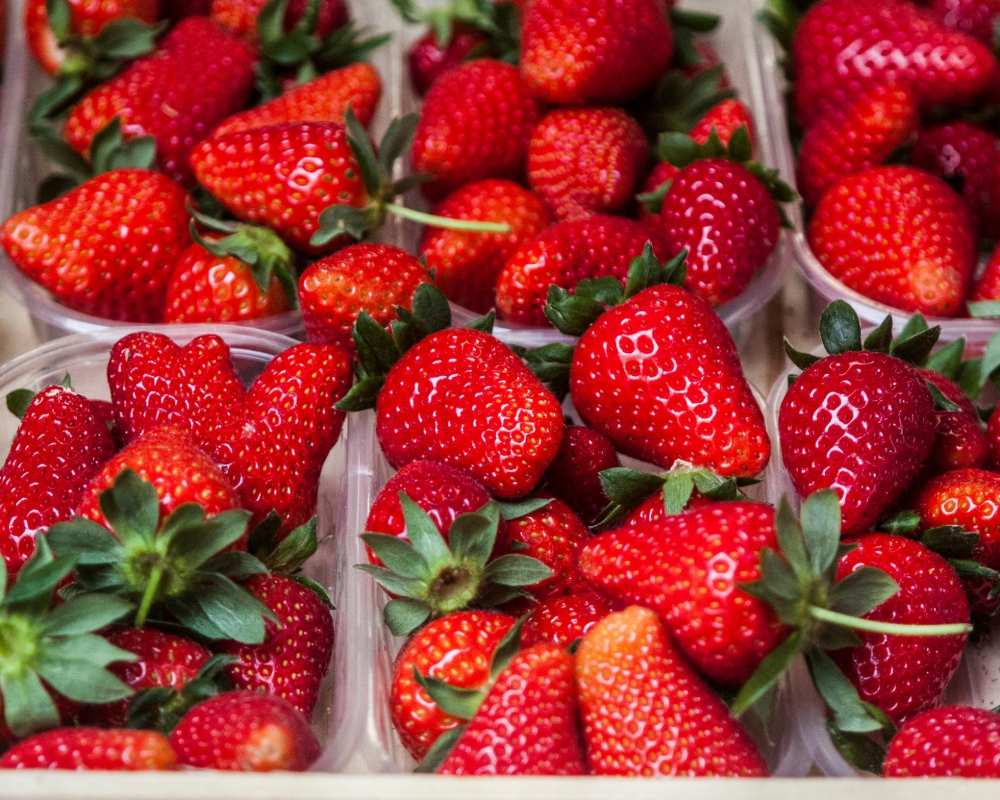 Terricciola strawberries