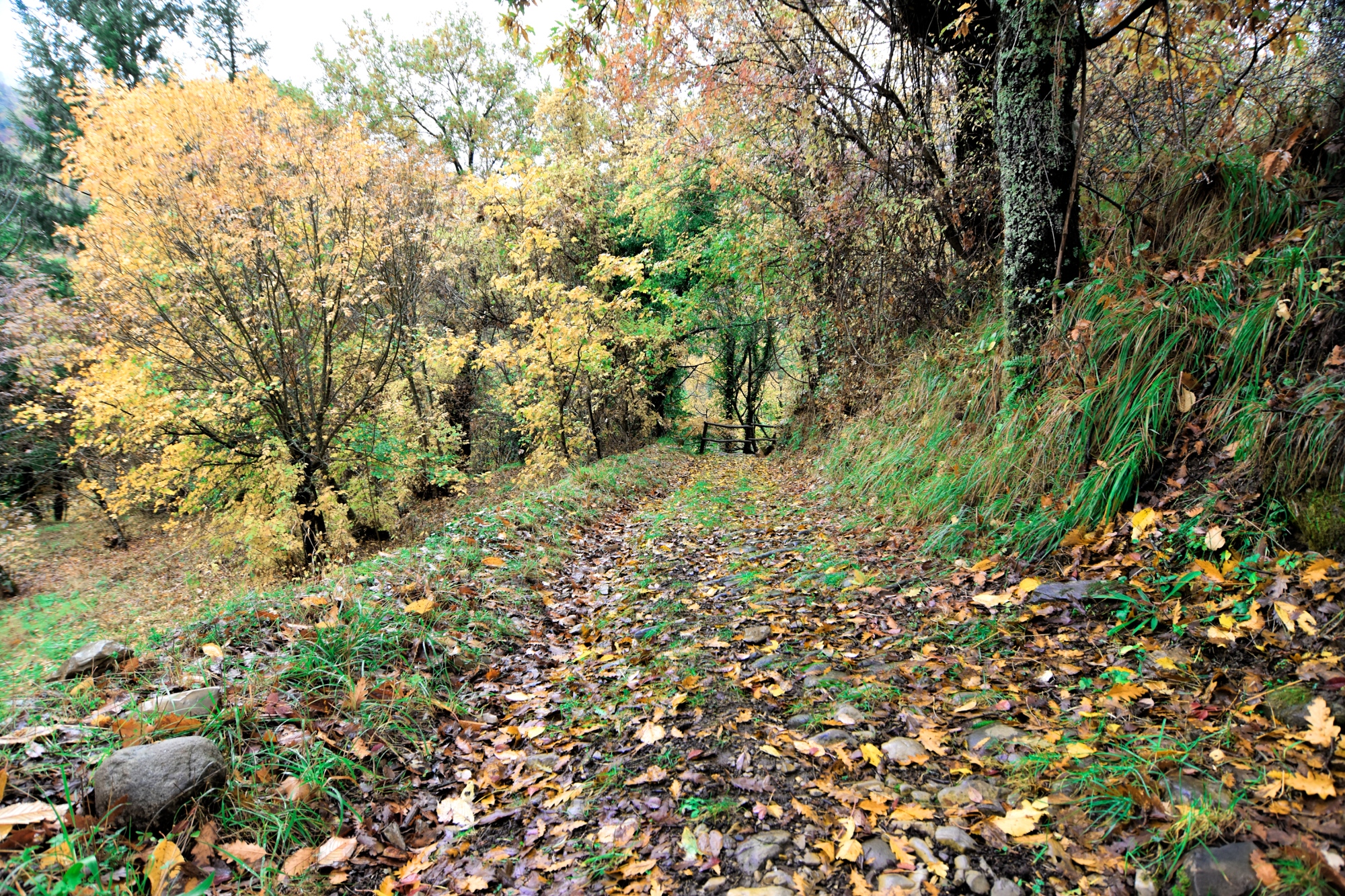 Via Francigena, tra Passo della Cisa e Pontremoli