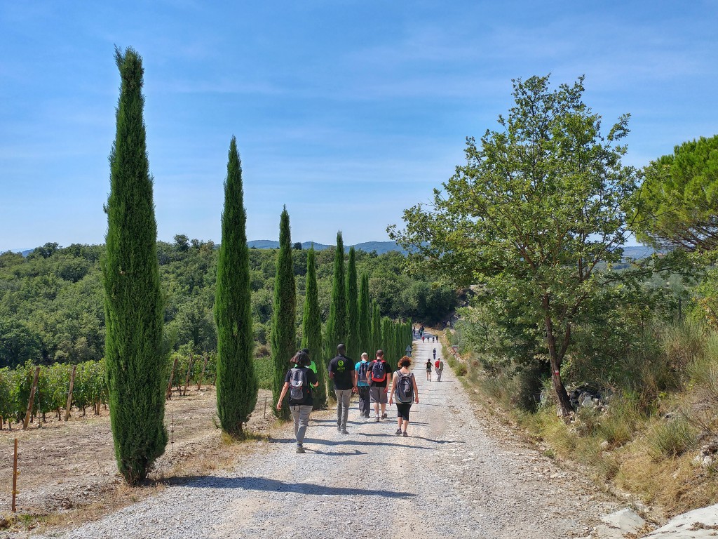 Exploring the territory of Gaiole in Chianti on foot