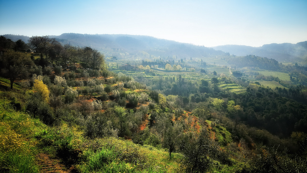 Lamole, Greve in Chianti