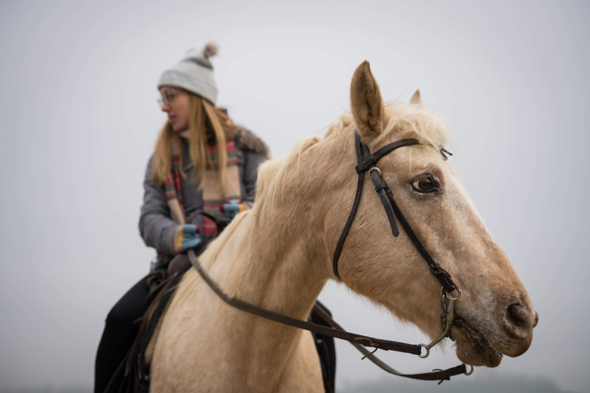 A horse ride in Scarperia (Mugello area)