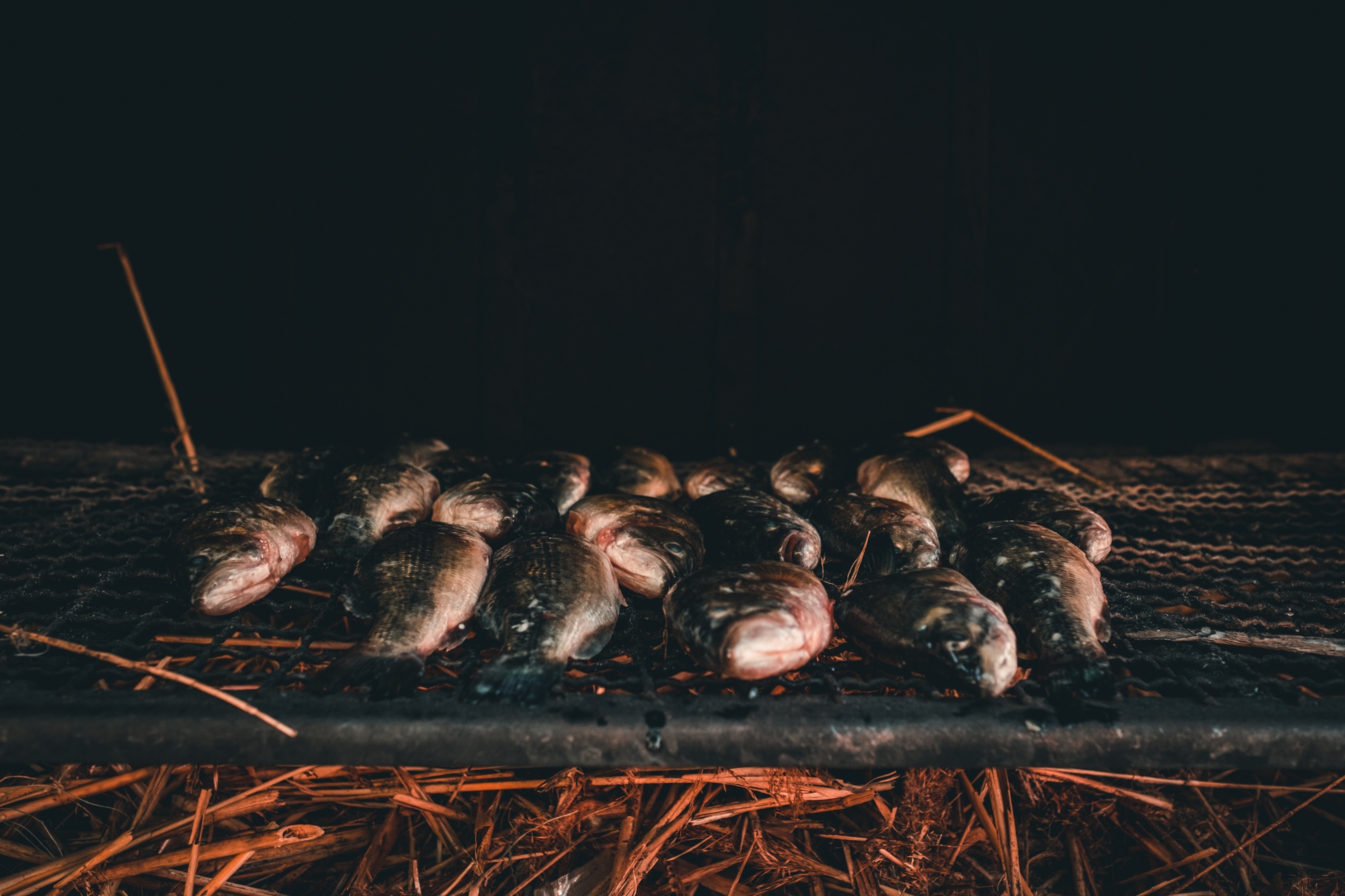 Il Brustico, fish cooked with the Etruscan method