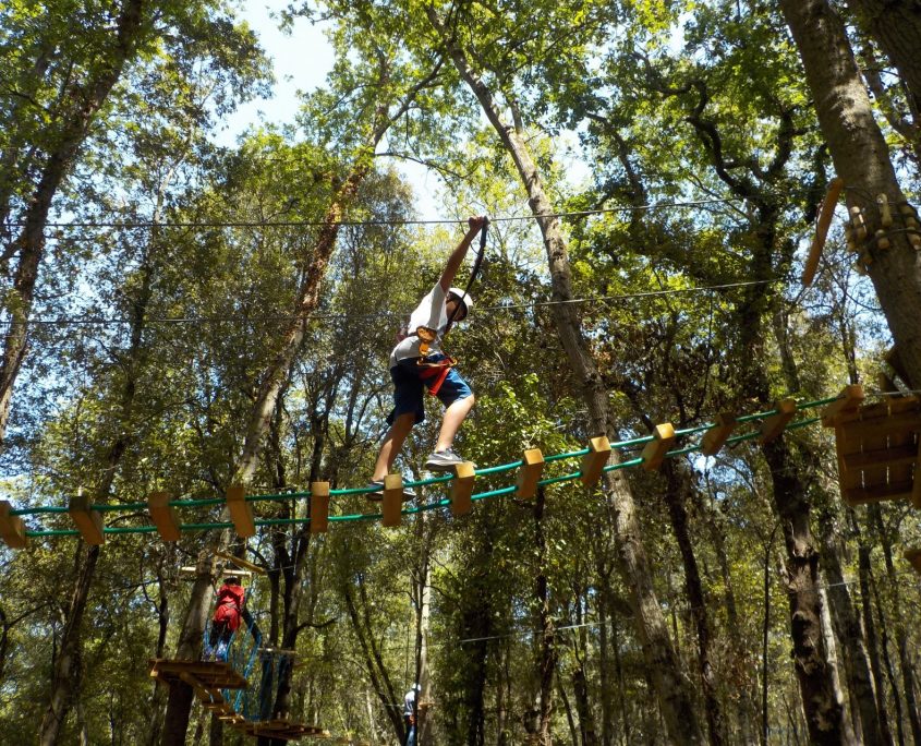 Bambino sui percorsi aerei fra le cime degli alberi