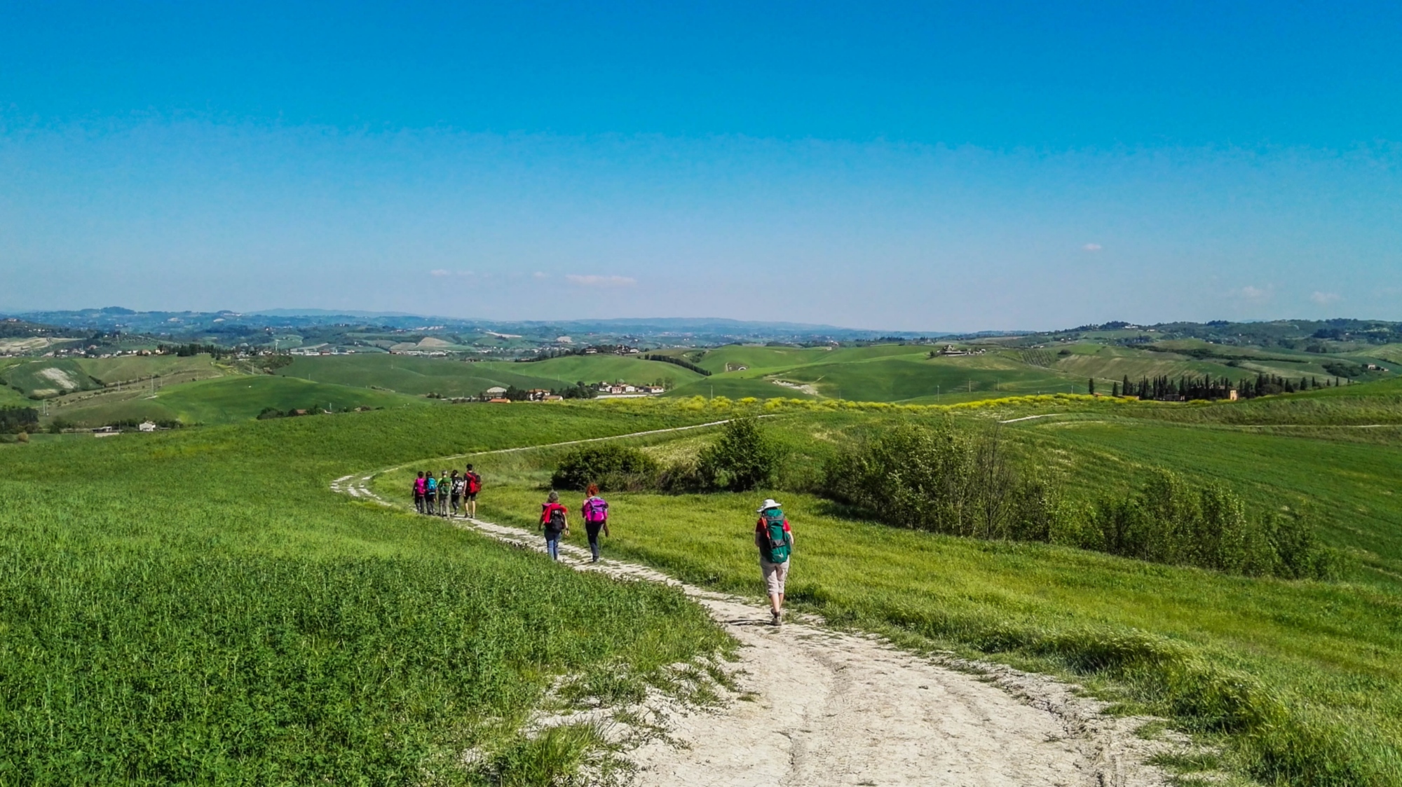 Pellegrini in cammino lungo la Via Francigena tra le dolci colline verdi della tappa San Miniato – Gambassi Terme, immersi nella natura toscana.