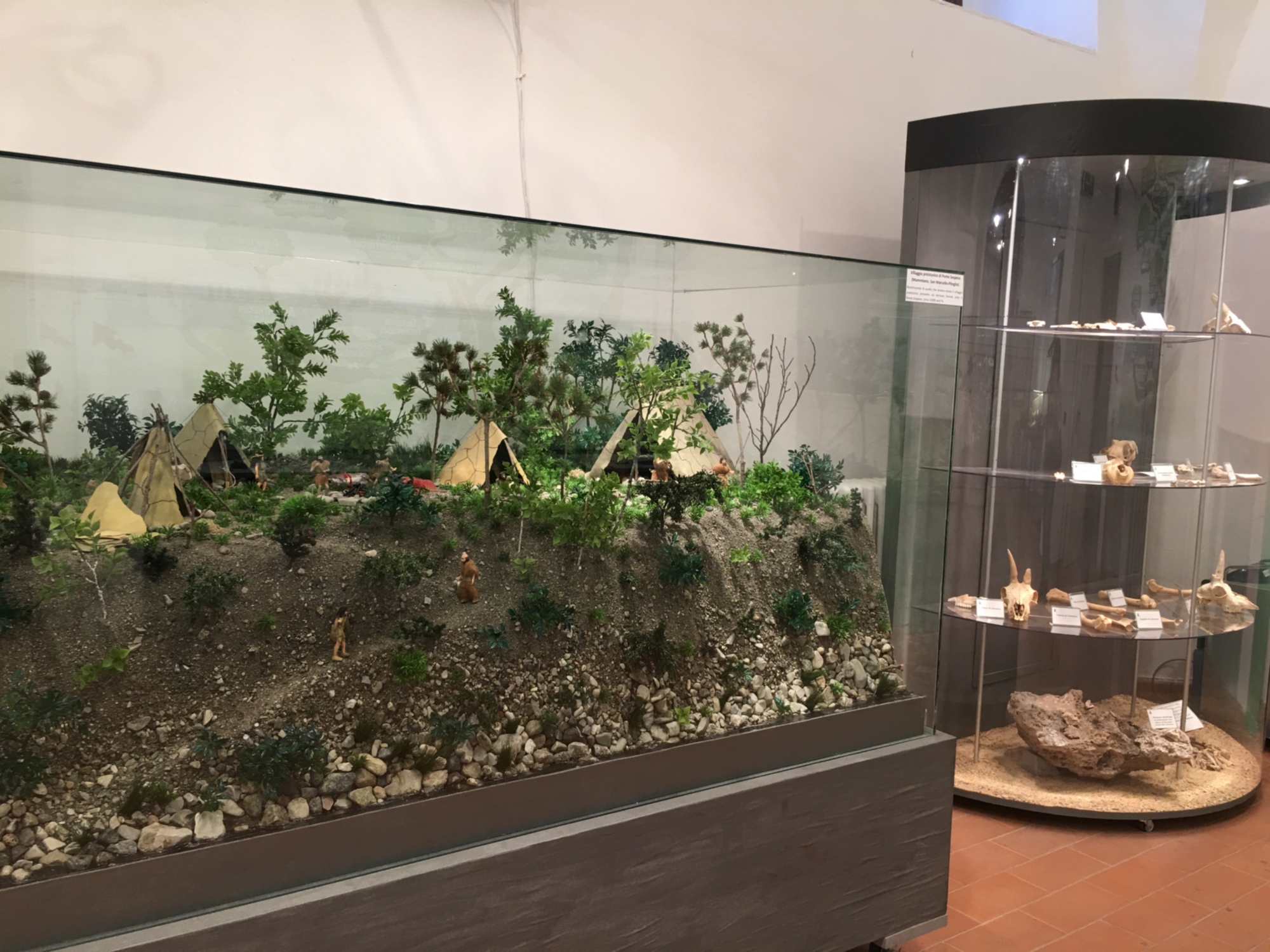Museo Naturalístico y Arqueológico de las Montañas de Pistoia, Gavinana
