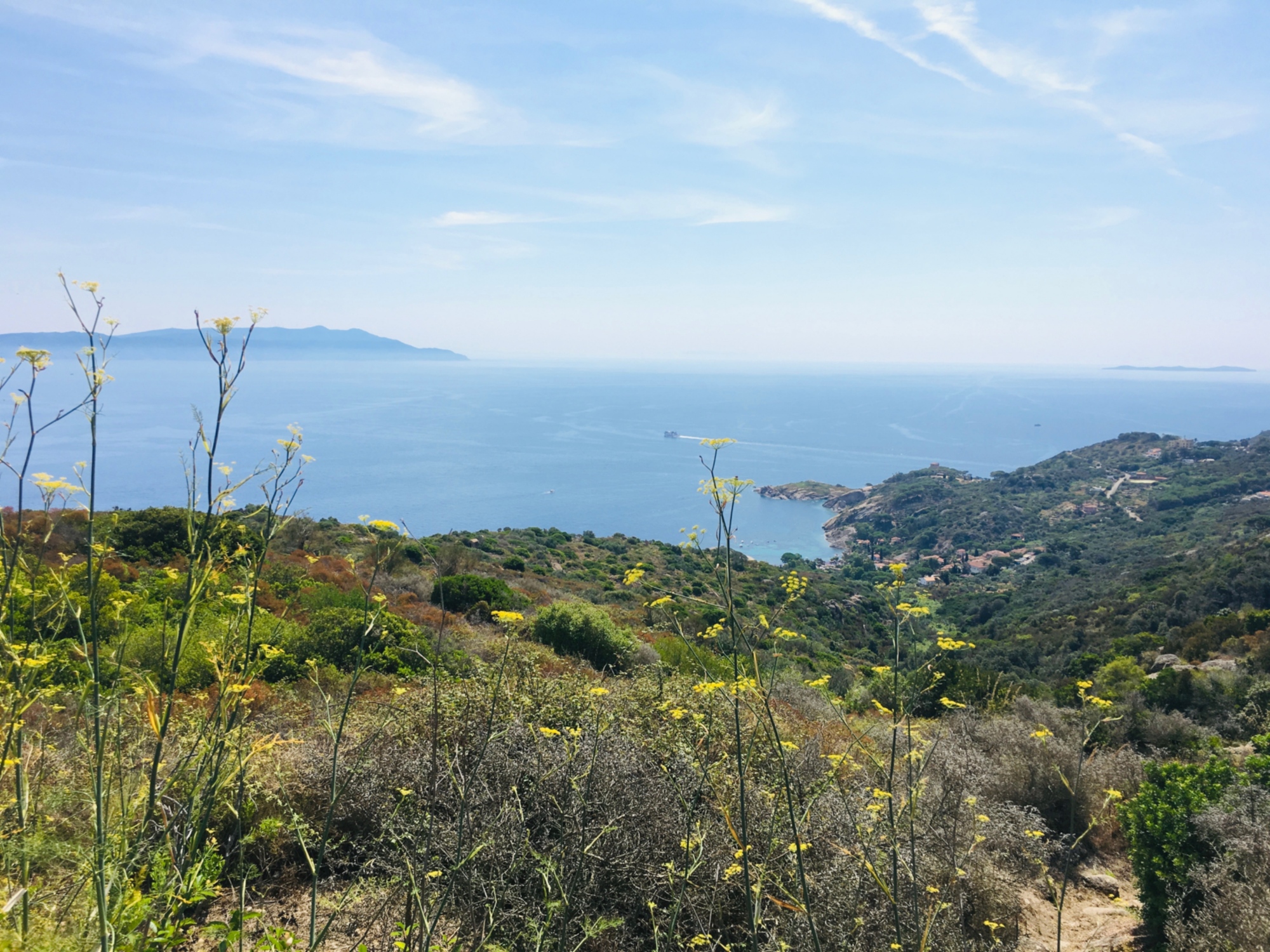 Isla de Giglio, mar y naturaleza