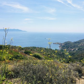Insel Giglio, Meer und Natur