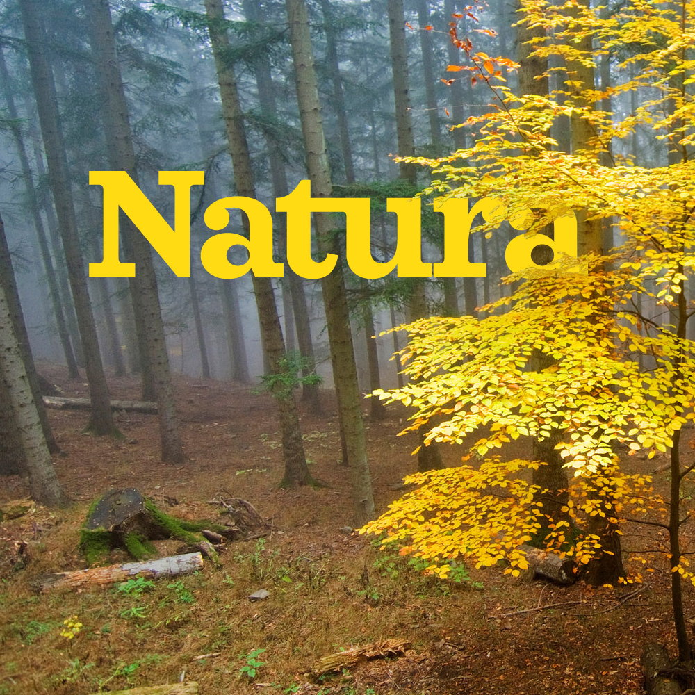Cover Natura