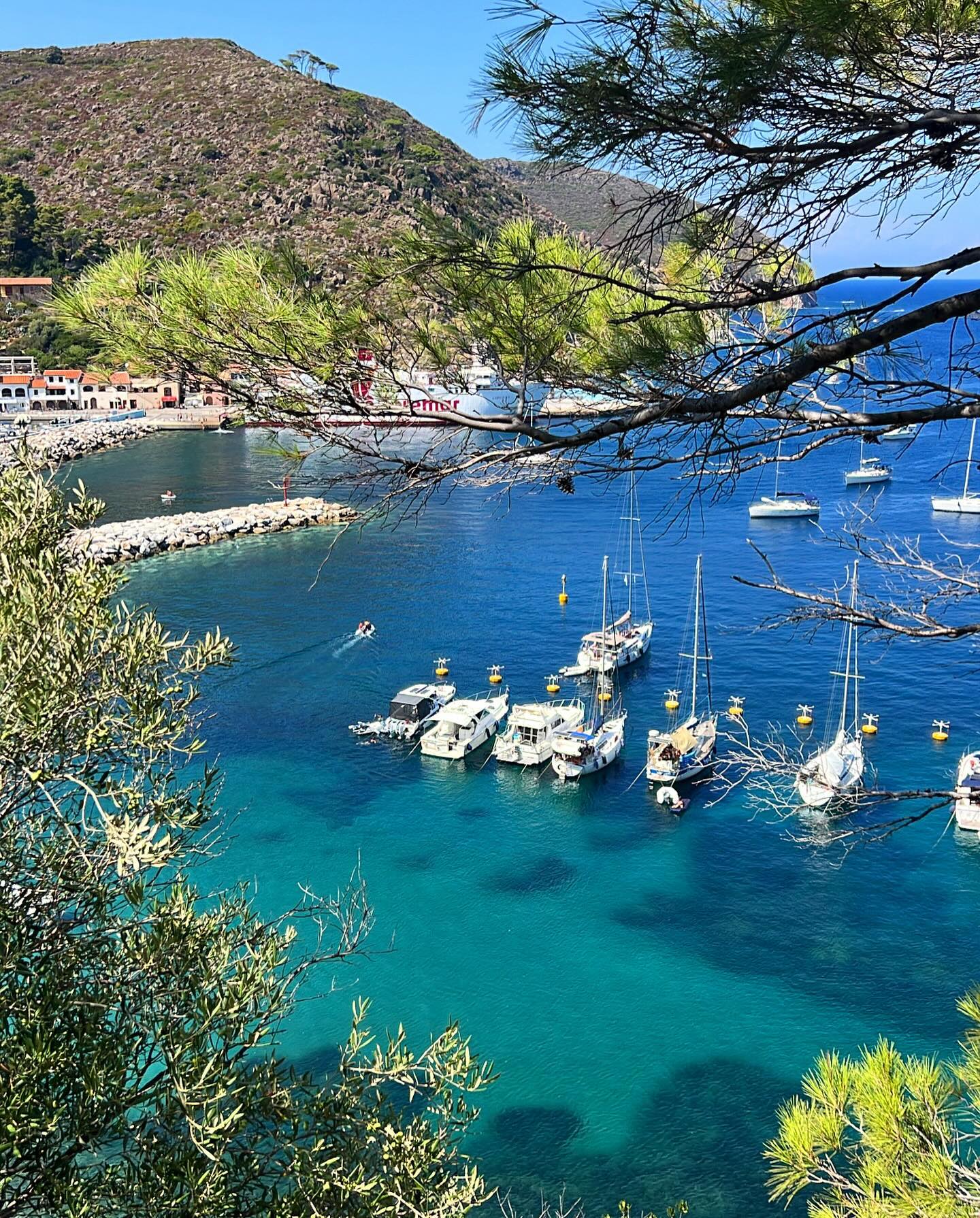 Isola di Capraia