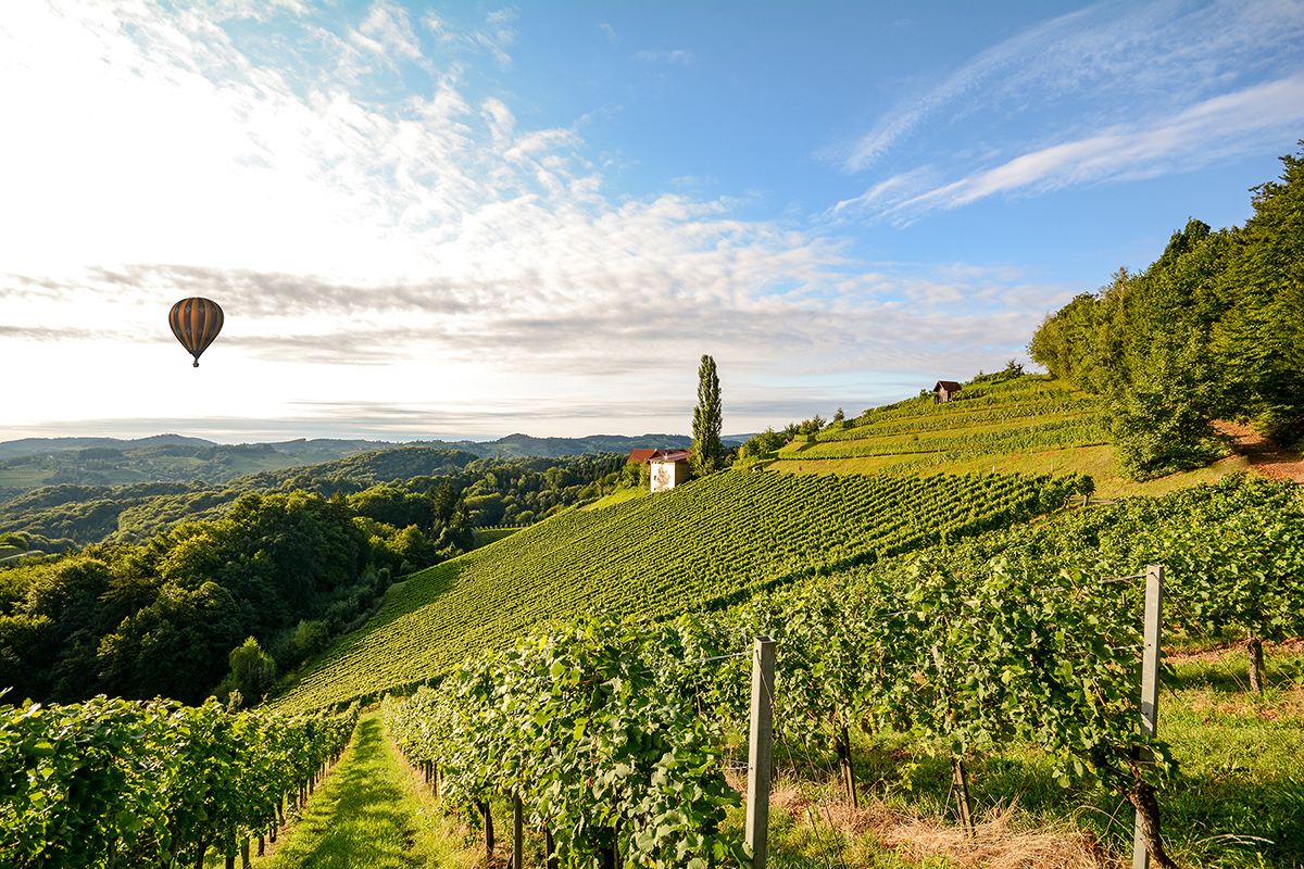 A hot air balloon flight over the Chianti hills