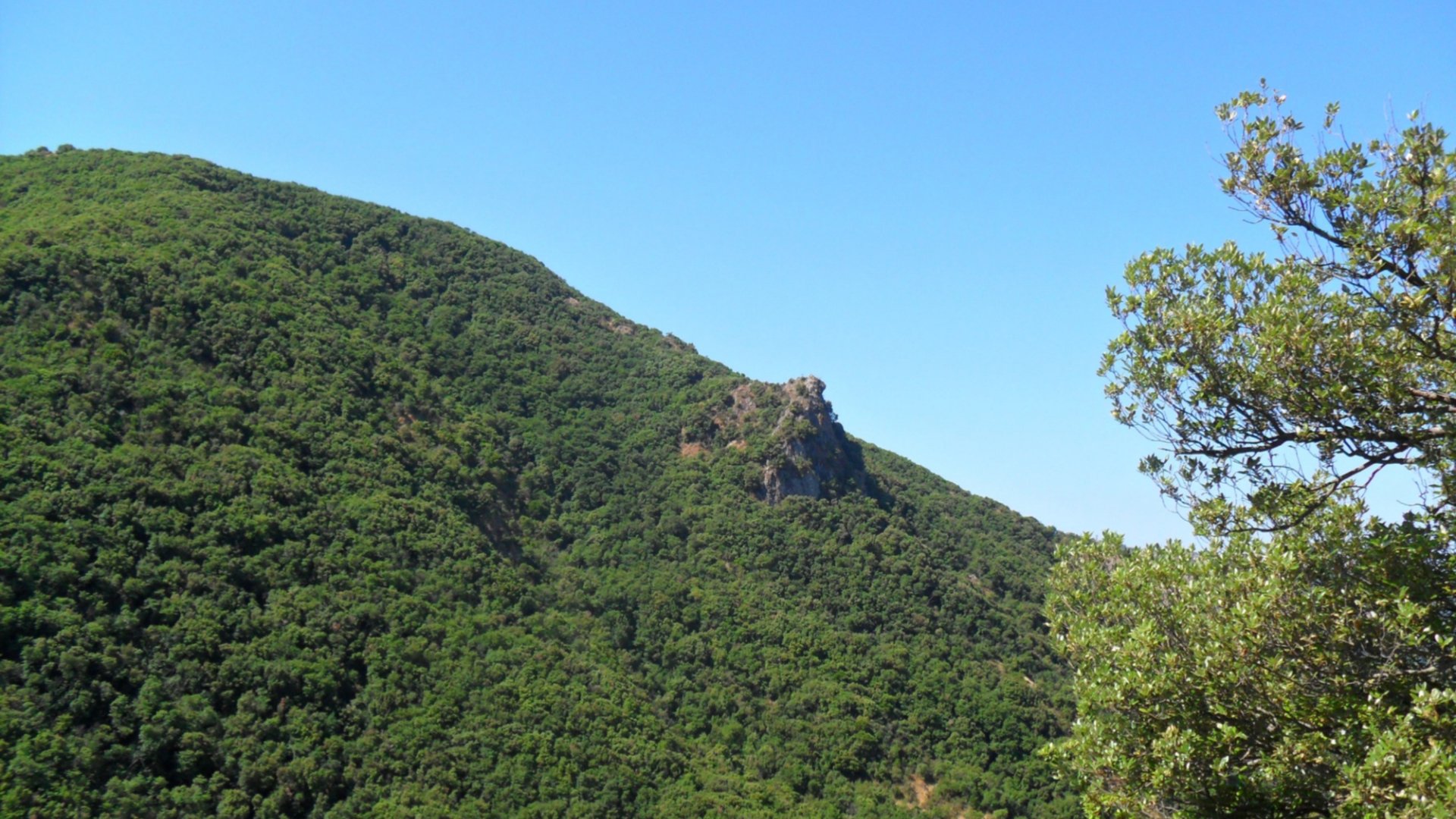 Montenero Regional Natural Reserve