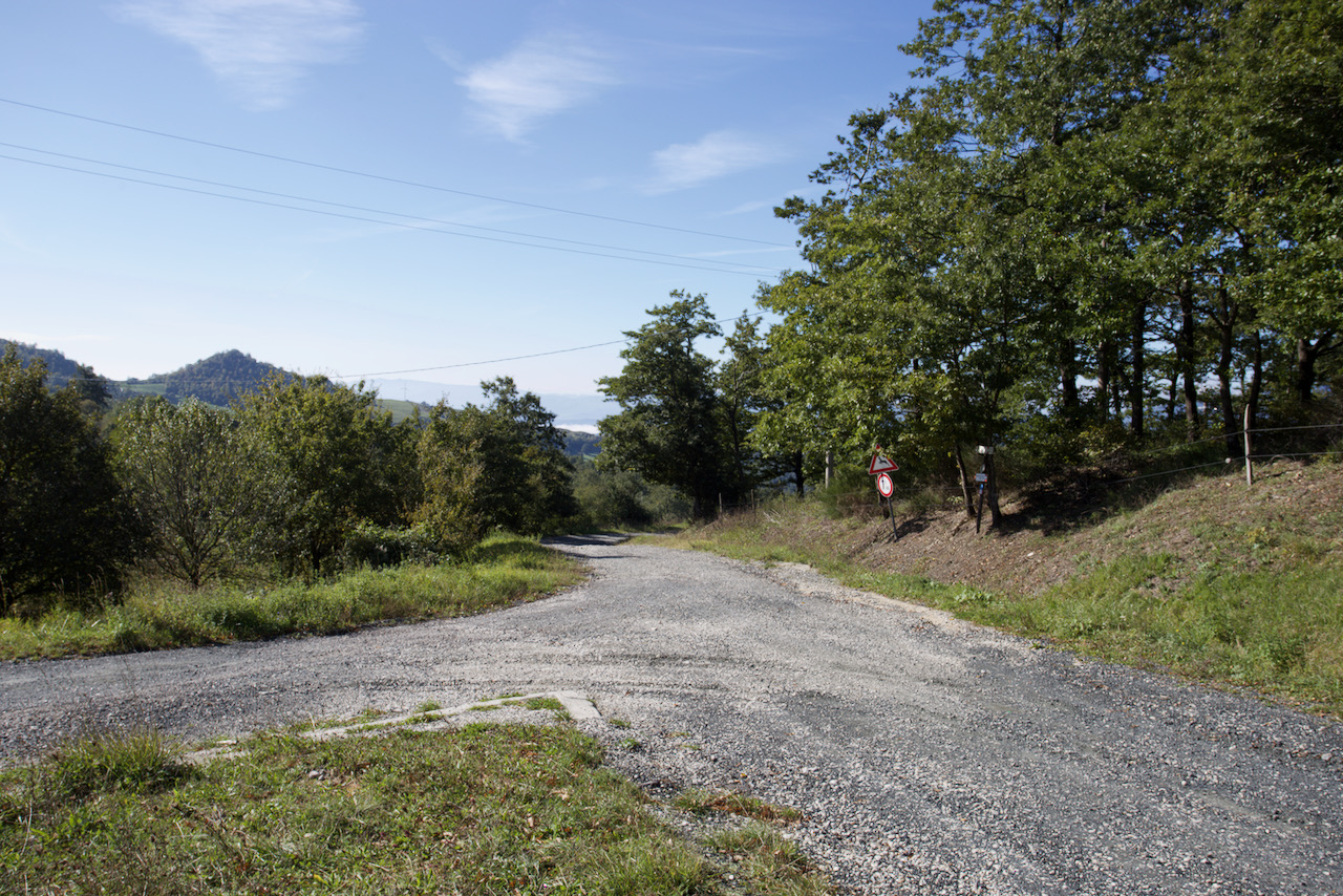 Riserva Regionale Bosco di Montalto