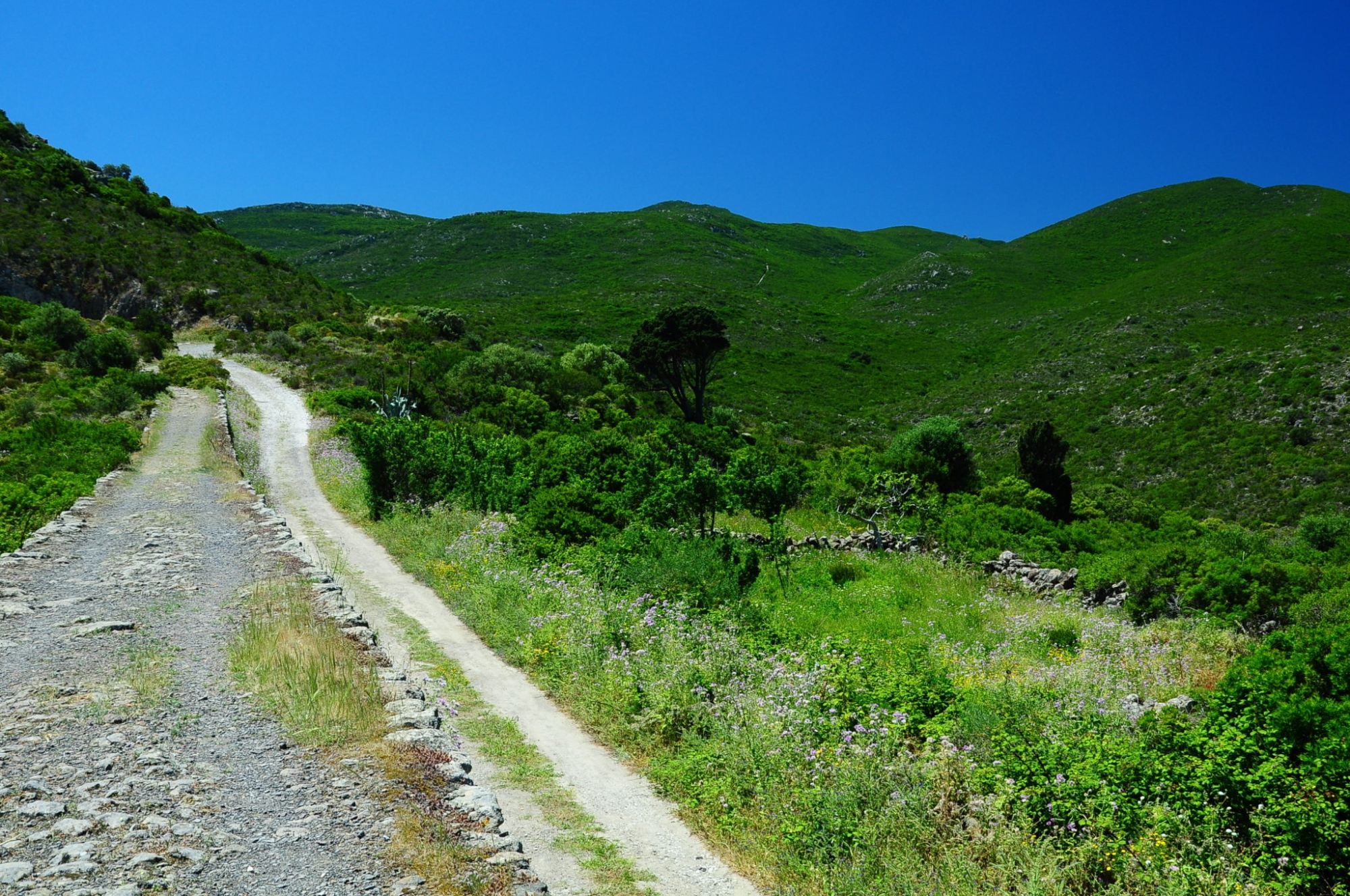 Nature hiking trails on Capraia Island