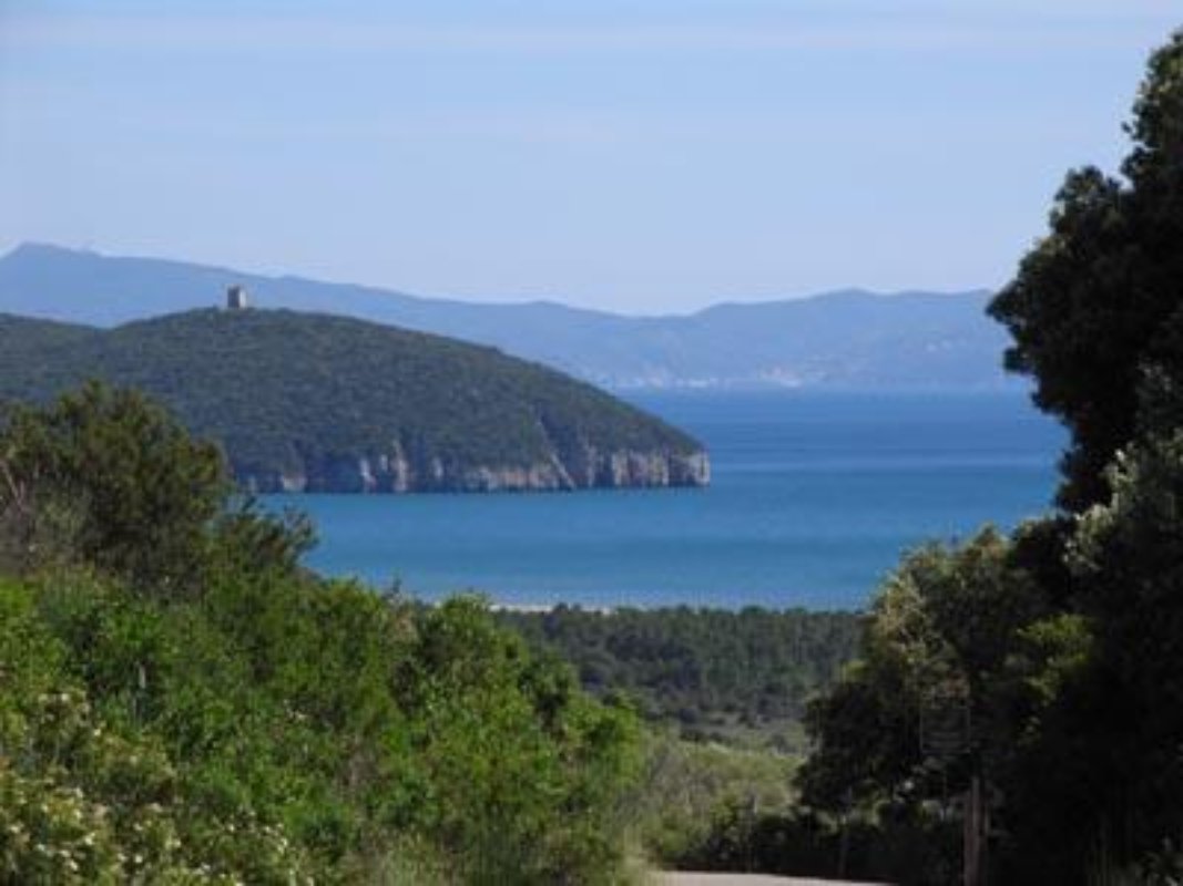 Parco della Maremma Parco della Maremma