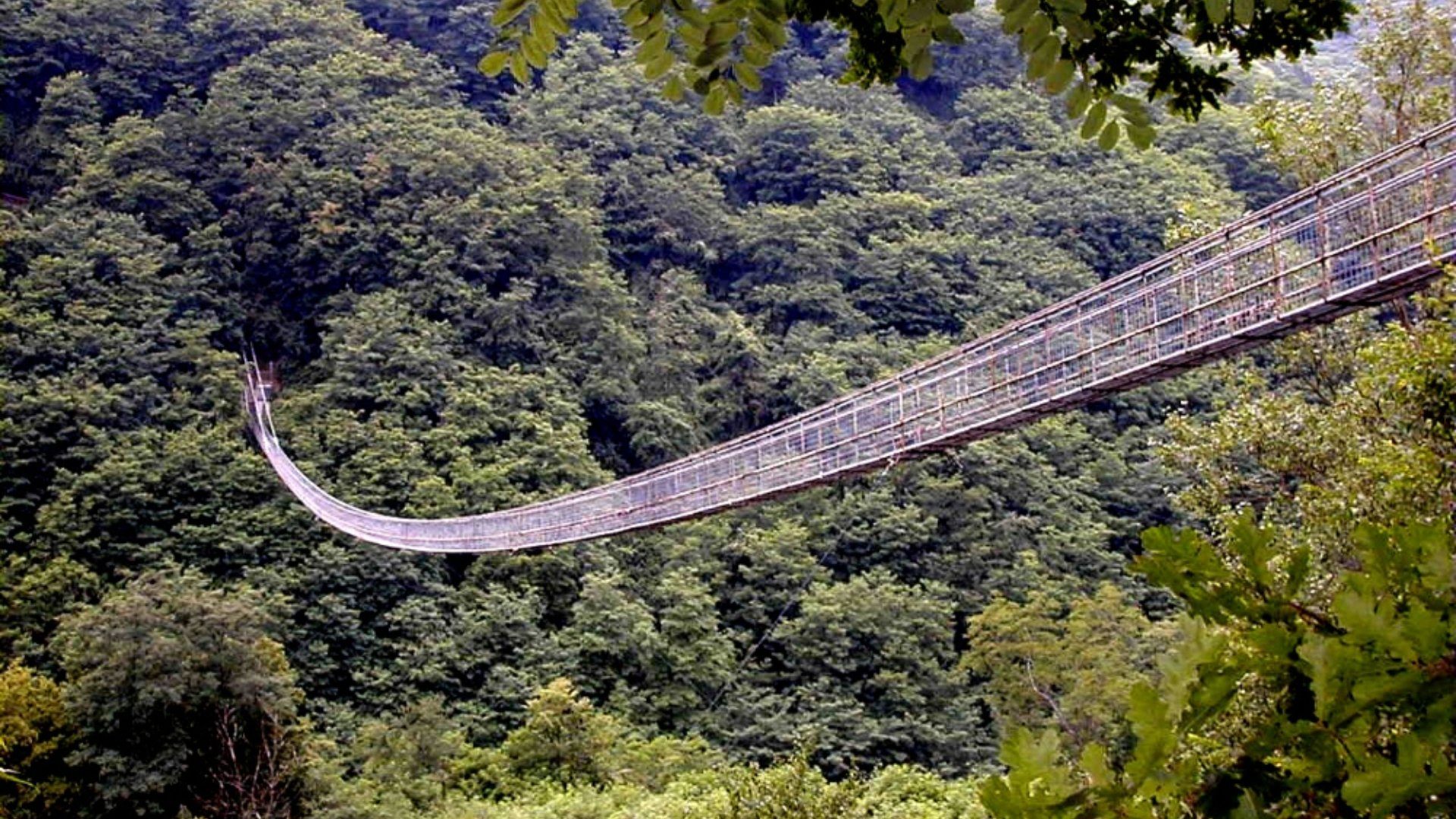 Il più lungo ponte sospeso pedonale del mondo