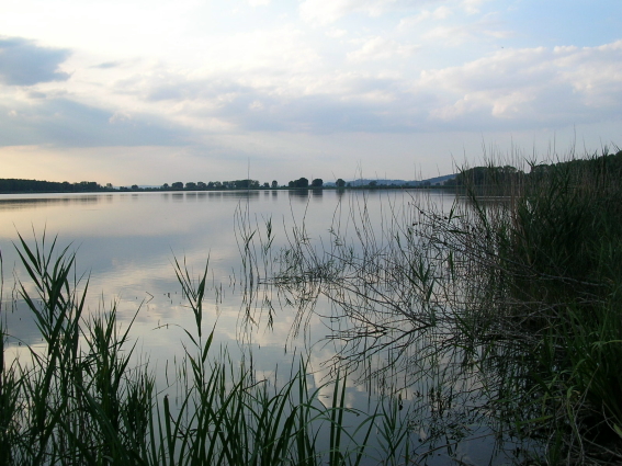 Montepulciano Lake