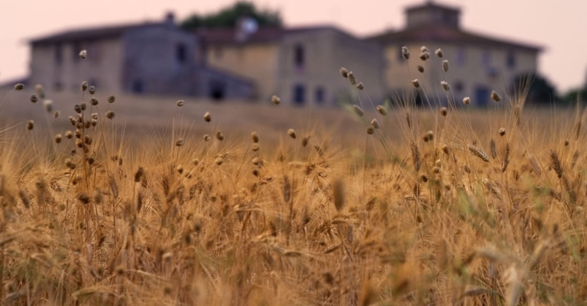 Countryside