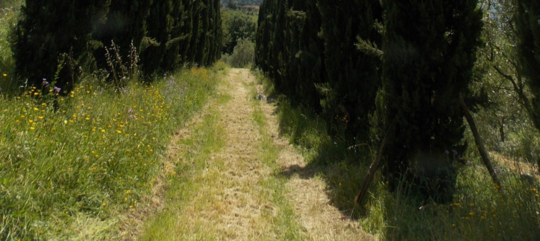 Nella natura del Montalbano Nella natura del Montalbano
