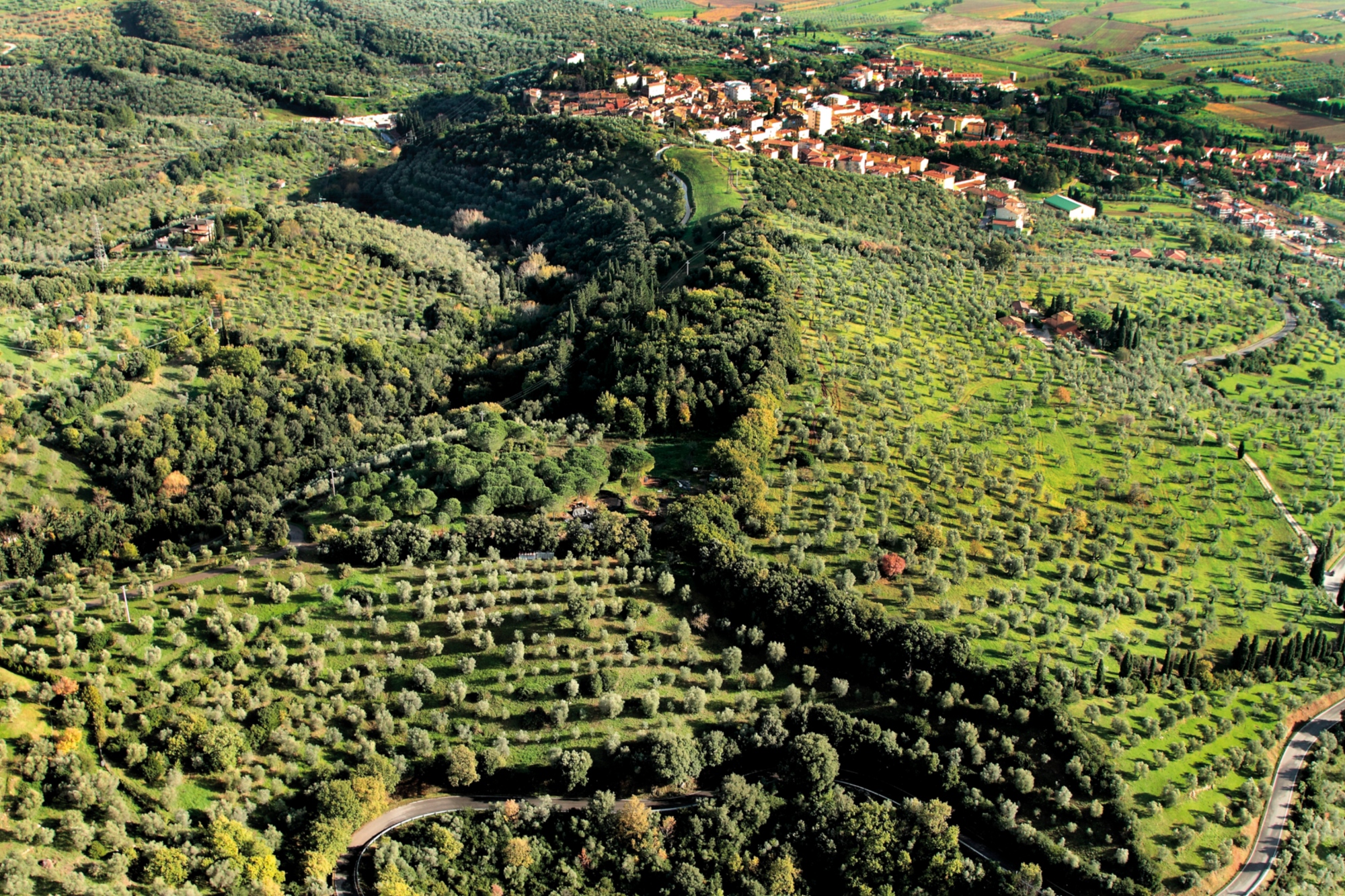 Val di Cornia y Suvereto