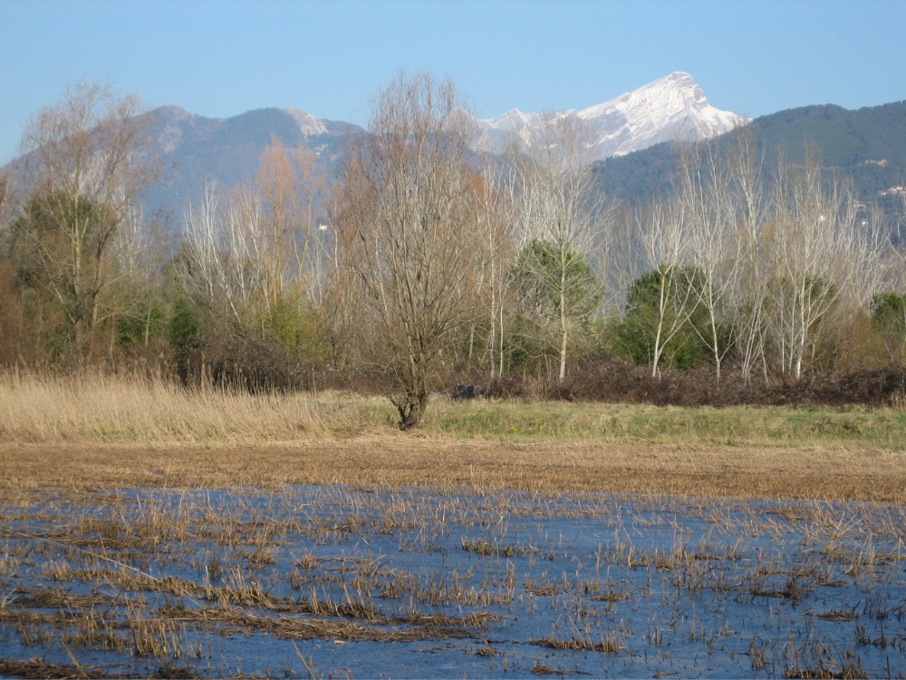 Lago di Porta - Montignoso