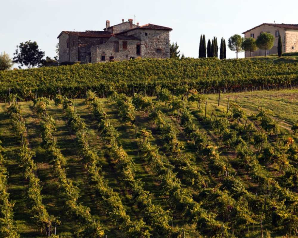 Le strade del vino della Toscana