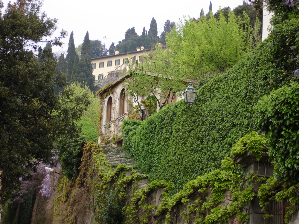 Le colline di Fiesole