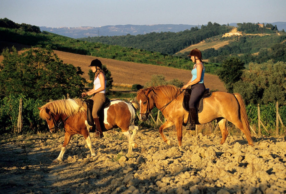 francigena toscana a cavallo