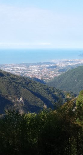 View from Pellegrini-Ansaldi botanical garden